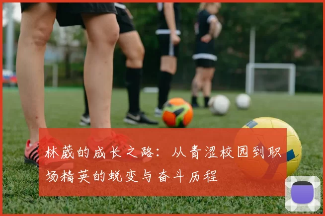 林葳的成长之路：从青涩校园到职场精英的蜕变与奋斗历程