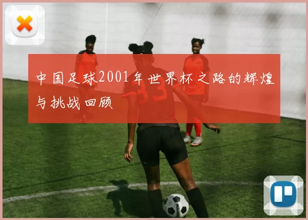 中国足球2001年世界杯之路的辉煌与挑战回顾