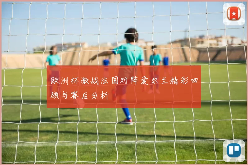 欧洲杯激战法国对阵爱尔兰精彩回顾与赛后分析