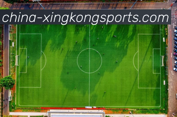 星空体育APP 高清赛事图